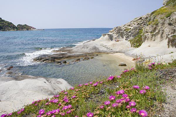 B & B Summer Marciana  Bagian luar foto