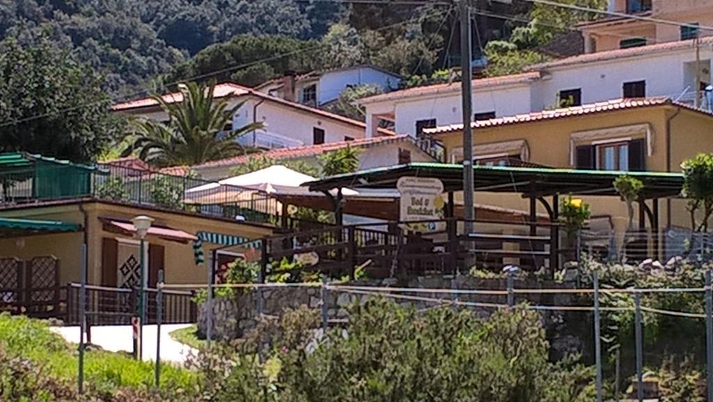 B & B Summer Marciana  Bagian luar foto